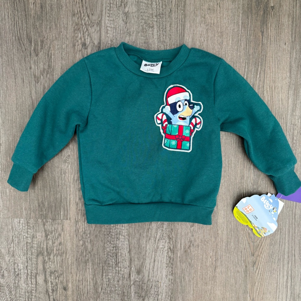 Bluey Green Graphic Christmas Holiday Sweatshirt - Picture 1 of 3